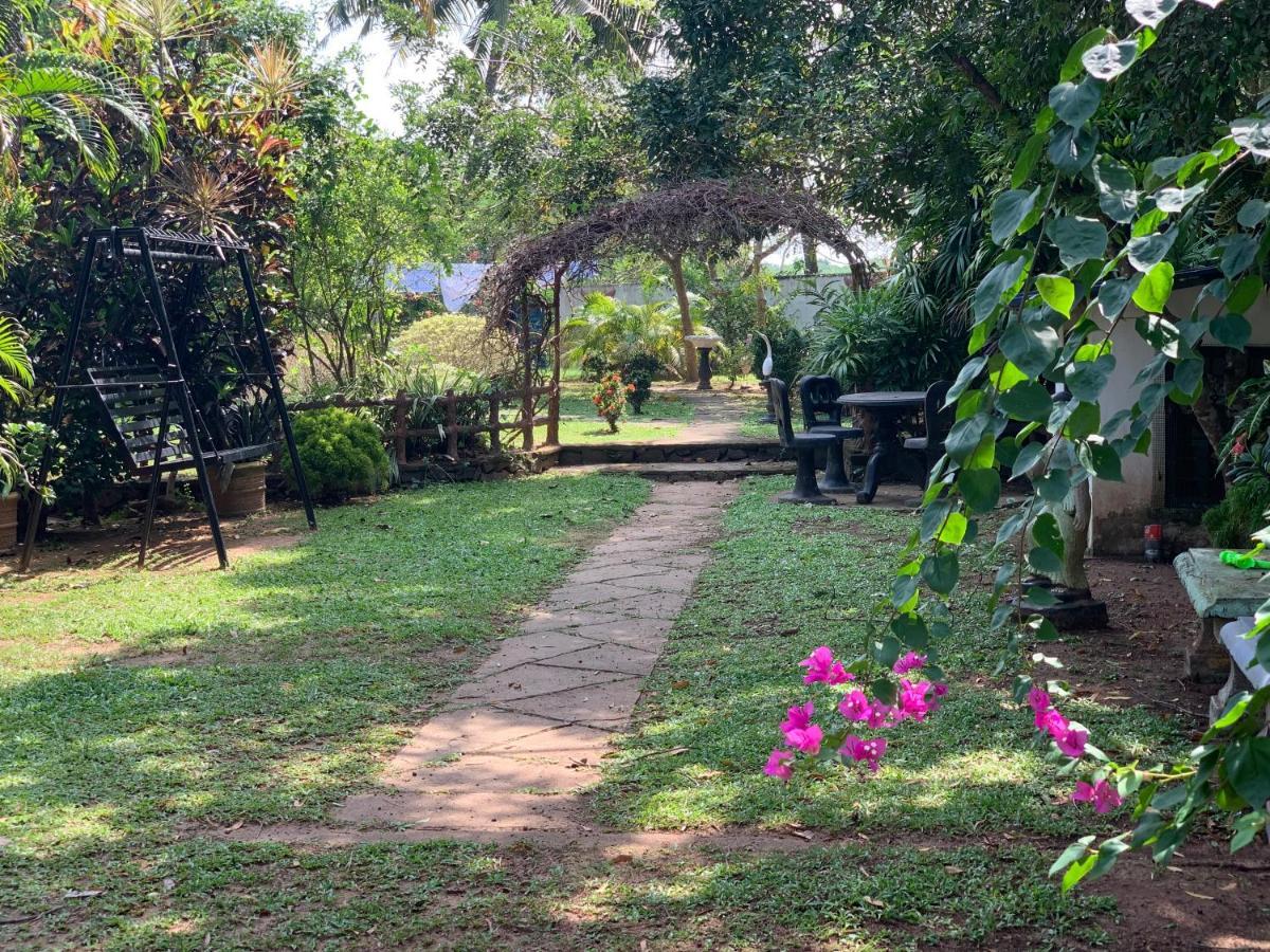 Dream Villa Mirissa Exterior photo